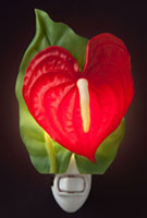 Anthurium Flower night lights