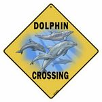 Dolphin Crossing sign